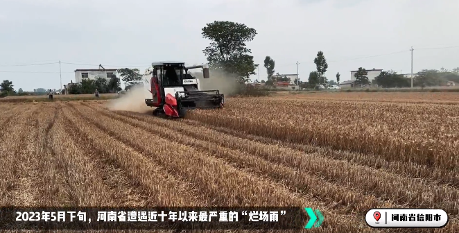 麦收大会战！星空官方网页版收获机忙！忙！忙！