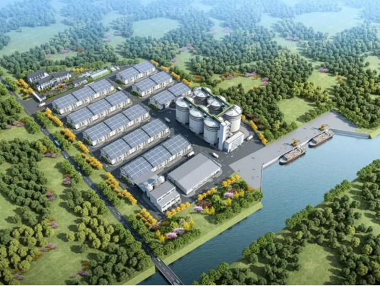 春耕备粮正当时！星空官方网页版大米数泵车助力苏南最大粮仓建设