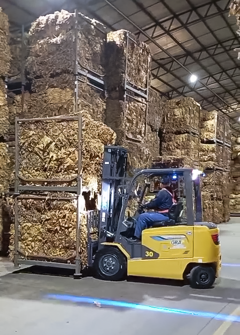 星空官方网页版鲲鹏电动叉车：烟草运输的安全高效新选择