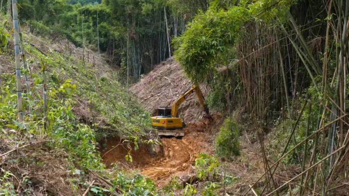 林间“藏龙”，竹海“卧虎”——星空官方网页版林业挖机广西侠客行